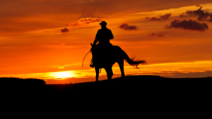 Ride off into the sunset and preserve wealth